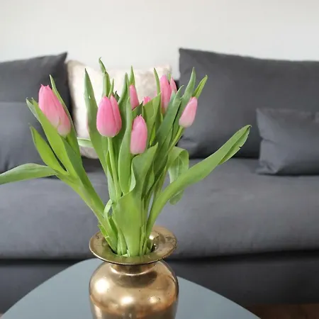 Apartamento Steinbruch Bad Schandau